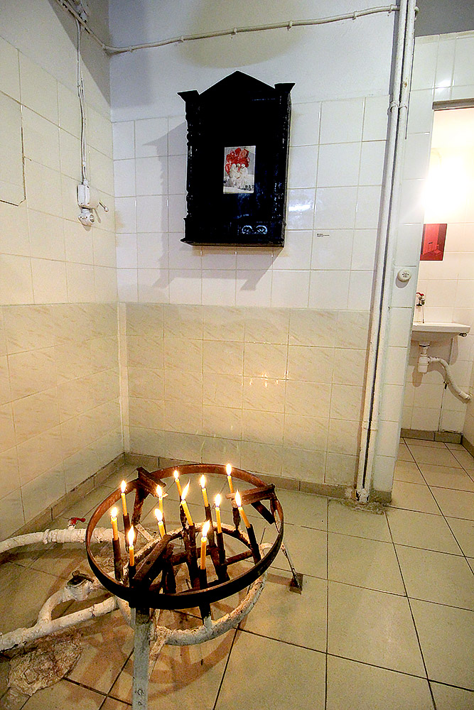 The Serpent and the Milk